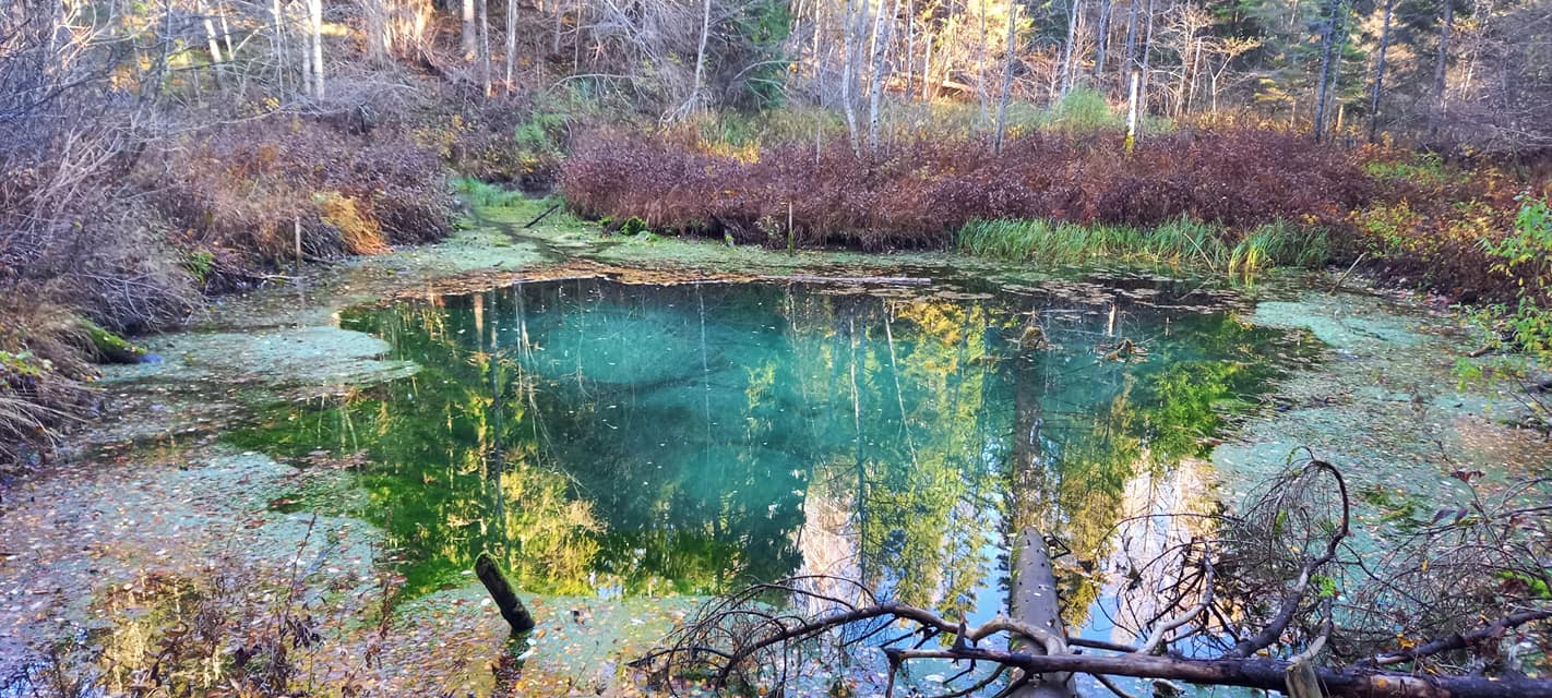 saula siniallikad nida