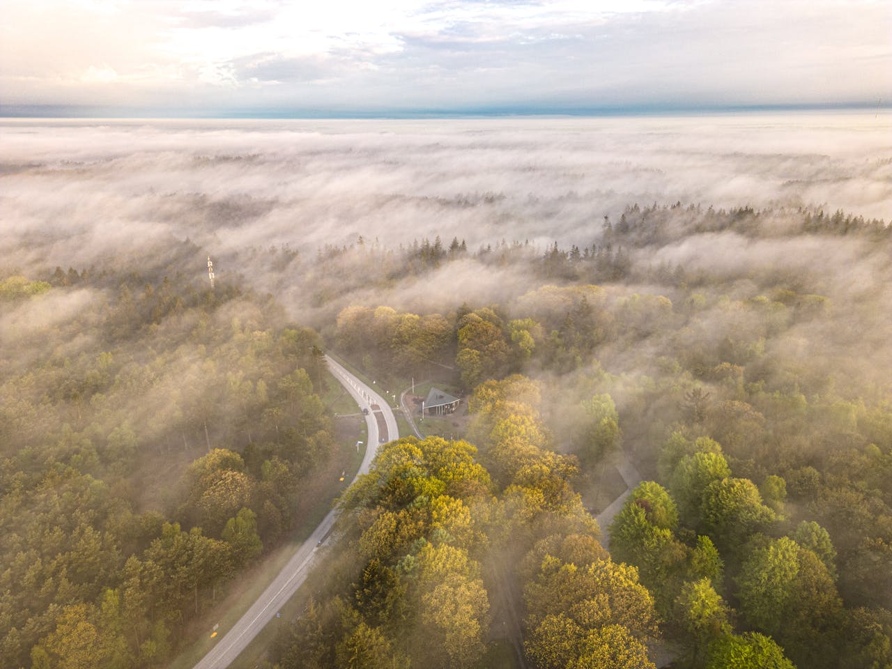 Tranquil aerial shot of a foggy forest landscape with a winding road and lush greenery.
