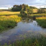 Peaceful rural landscape featuring a reflective river and lush fields under a summer sky.